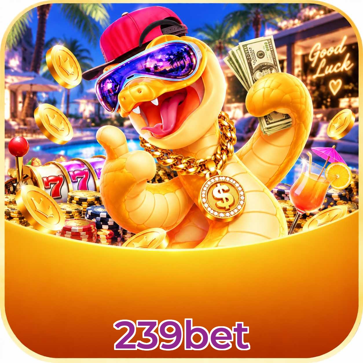 Download App